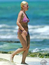 Sexy Celeb Elisha Cuthbert
