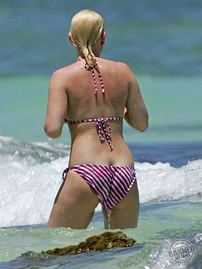 Sexy Celeb Elisha Cuthbert